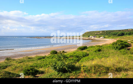 Baie de Port Eynon sur la péninsule de Gower, pays de Galles Banque D'Images