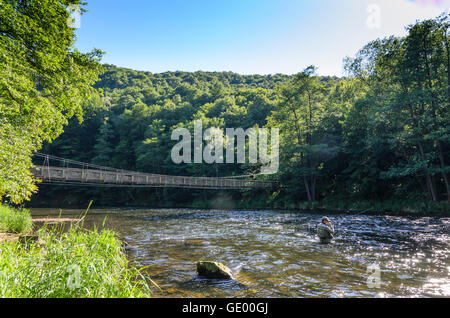 Vranov nad Dyji (Frain) : pont suspendu au-dessus de la Thaya dans le parc national Thayatal - Podyji, République tchèque, Jihomoravsky, Banque D'Images