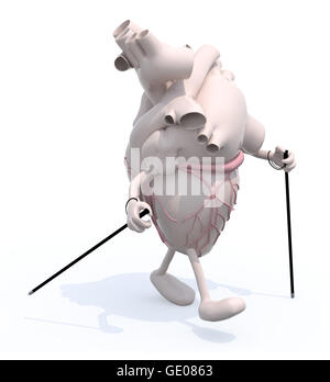 Coeur de l'homme avec les bras et les jambes,c'est marcher avec des bâtons, 3d illustration Banque D'Images