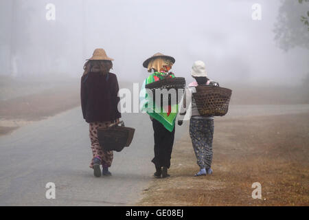 Les femmes asiatiques avec des paniers marche sur chemin dans jour brumeux, photo de derrière, Putao, Myanmar (Birmanie). Banque D'Images