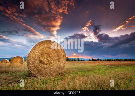 Terrain agricole avec des balles de foin au coucher du soleil. Banque D'Images