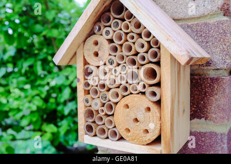 Maison des insectes dans le jardin de banlieue, Kent, UK Banque D'Images