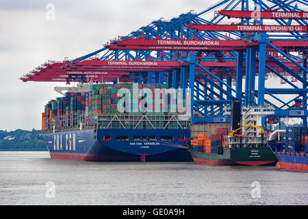 CMA CGM au Terminal Burchardkai Kerguelen, Hambourg. Banque D'Images