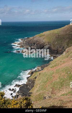 Côte sauvage et vert de mer, près de St Ives, Cornwall, Angleterre, Royaume-Uni, Europe Banque D'Images