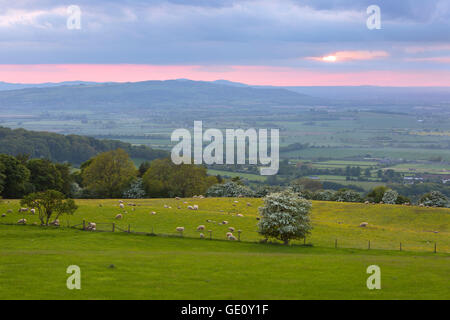 Vue sur la vallée d'Evesham de Broadway Tower Country Park au coucher du soleil, Broadway, Cotswolds, Worcestershire, Angleterre, Royaume-Uni Banque D'Images