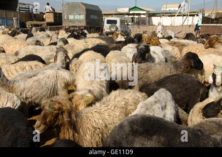 Tolkuchka bazar, la vente de moutons et chèvres, Ashgabat, Turkménistan Banque D'Images