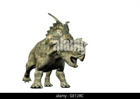 3d illustration de achelousaurus isolé sur fond blanc Banque D'Images