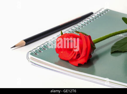 Rose rouge sur l'ordinateur portable avec un crayon. Banque D'Images