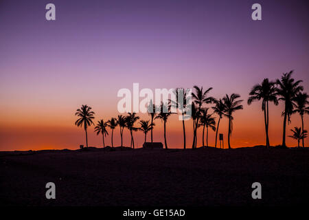 Coucher du soleil à Salalah, Oman Dhofar. Banque D'Images