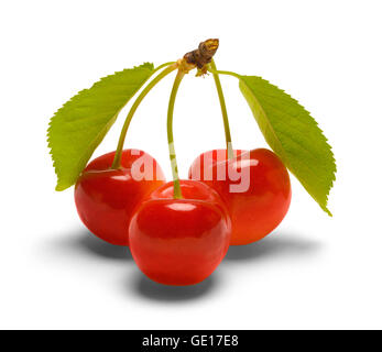 Groupe de trois cerises avec feuilles isolées sur fond blanc. Banque D'Images