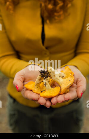 Femme tenant les champignons fraîchement cueillis Banque D'Images