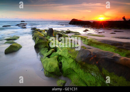 Des roches couvertes de mousse sur plage, Kudat, Sabah, Malaisie Banque D'Images
