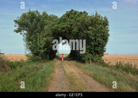 Femme marchant le long de la route à travers arbre naturel arch, Niort, France Banque D'Images