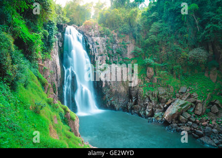 Belle forêt profonde cascade de Haew narok Cascade, parc national Khao Yai, Thaïlande Banque D'Images