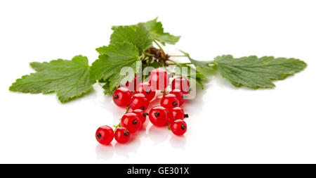 Groseille rouge avec des feuilles isolées sur fond blanc Banque D'Images