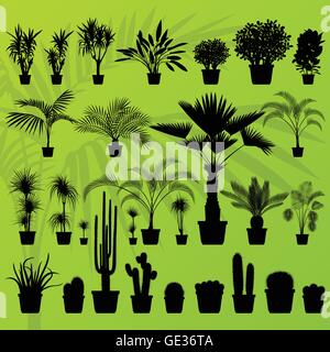 Bush, des plantes exotiques, palmiers et cactus illustration détaillée Contexte collection vector Illustration de Vecteur