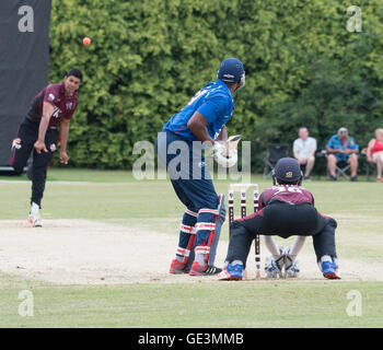 Brentwood, Essex, 22 juillet 2016, Alex Tudor de l'APC English Masters jouer contre Brentwood Cricket Club Crédit : Ian Davidson/Alamy Live News Banque D'Images