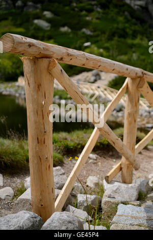 Une partie de la barrière en bois faite de bois frais, crus à Trail. Profondeur de champ. Banque D'Images