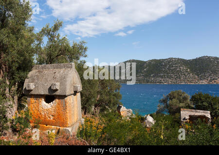 Style Lycian sarcophages et oliviers dans l'ancienne nécropole le long de la côte méditerranéenne de la Turquie. Banque D'Images