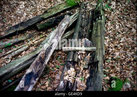 Forêt d'Argonne, bataille de la PREMIÈRE GUERRE MONDIALE en France. Juillet 2016 Abri Kron Prinz, prince allemand Wilhelm von Preußen, fils du Wilhelm II. Trois bunkers sur la ligne de front dans la forêt d'Argonne. L'Offensive Meuse-Argonne, également connu sous le nom de l'offensive et Maas-Argonne la bataille de la forêt d'Argonne, a été une grande partie de la dernière offensive des Alliés de la Première Guerre mondiale, qui s'étendait le long de la Front de l'Ouest. Elle s'est déroulée le 26 septembre 1918, jusqu'à l'Armistice du 11 novembre 1918, un total de 47 jours. L'Offensive Meuse-Argonne ont été les plus importantes de l'histoire militaire des États-Unis, impliquant 1,2 mill Banque D'Images