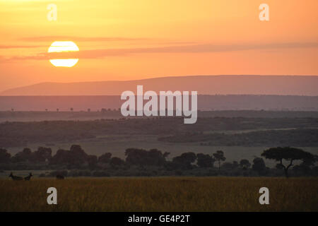 Le lever du soleil sur le Masai Mara, Kenya Banque D'Images