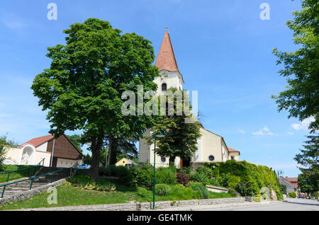 Fels am Wagram : church hl. Margaretha, Autriche, Niederösterreich, Autriche, Donau Banque D'Images