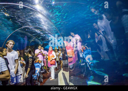 Tunnel sous-marin dans un aquarium, L'Aquarium, Moll d'Espanya, Barcelona, Catalonia, Espagne Banque D'Images