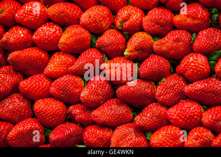 Les fraises, dans le marché de la boqueria, Barcelone. La Catalogne, Espagne. Banque D'Images