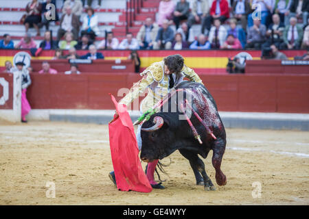 Jaen, Espagne - 17 octobre 2008 : Le torero espagnol Curro Diaz de la corrida avec la béquille dans l'Arène de Jaen, Espagne Banque D'Images