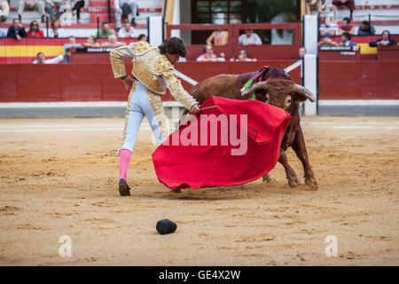 Jaen, Espagne - 17 octobre 2008 : Le torero espagnol Curro Diaz de la corrida avec la béquille dans l'Arène de Jaen, Espagne Banque D'Images