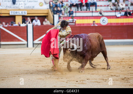 Jaen, Espagne - 17 octobre 2008 : Le torero espagnol Curro Diaz de la corrida avec la béquille dans l'Arène de Jaen, Espagne Banque D'Images