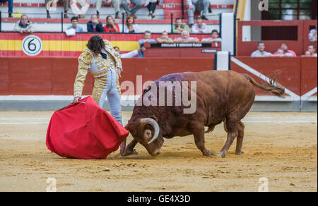 Jaen, Espagne - 17 octobre 2008 : Le torero espagnol Curro Diaz de la corrida avec la béquille dans l'Arène de Jaen, Espagne Banque D'Images