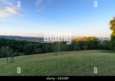 Wien, Vienne : ' ' dans le Wiener vues Lainzer Tiergarten donnant sur le bois de Vienne , la Kirche am Steinhof ( ) d'un dôme d'or Banque D'Images