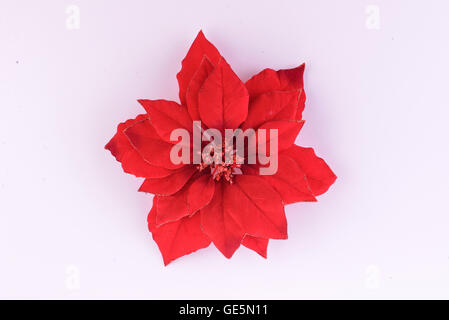 Décoration de Noël sur fond neutre Banque D'Images