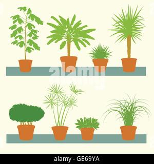 Home les plantes vertes, palmiers, arbustes en pots set vector background illustration collection Illustration de Vecteur