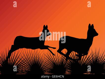 Deer doe dans grass field vector background ecology concept Illustration de Vecteur