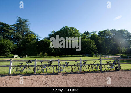 Les vélos vous attendent leurs cavaliers au château d'Artigny, où les participants à un cycle Backroads guidée de la vallée de la Loire staye Banque D'Images