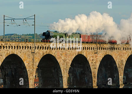 The Flying Scotsman machine à vapeur et du patrimoine train voitures voyageant sur le viaduc de chemin de fer construite par Robert Stevenson Banque D'Images