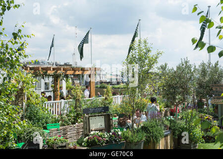 Le toit du grand magasin John Lewis sur Oxford Street a été transformé en un jardin de fleurs et d'herbes. Banque D'Images