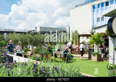 Le toit du grand magasin John Lewis sur Oxford Street a été transformé en un jardin de fleurs et d'herbes. Banque D'Images