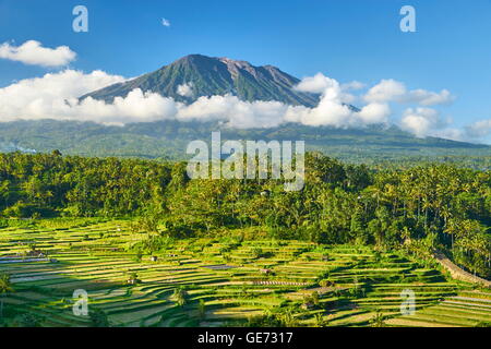 Le volcan Gunung Agung et des terrasses de riz paysage, Bali, Indonésie Banque D'Images