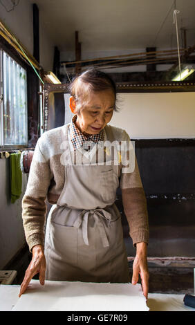 Techniques de fabrication de papier à Gokayama, Japon Banque D'Images