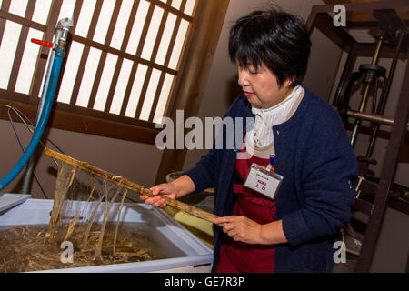 Techniques de fabrication de papier à Gokayama, Japon Banque D'Images