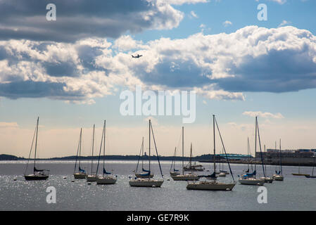 Le port de Boston Whale Watching Adventures Banque D'Images