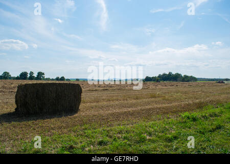 Terres agricoles de Gettysburg, Pennsylvanie un jour d'été Banque D'Images