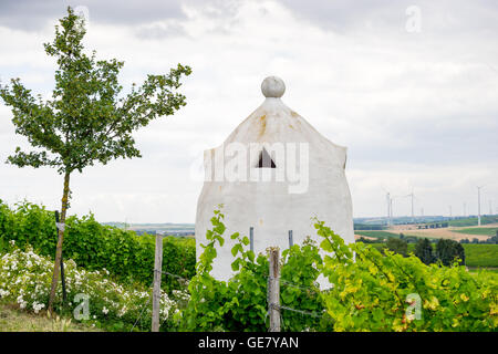 Vignoble à l'abri dans le style d'un trullo italien dans la Hesse rhénane, l'Allemagne, l'Rhine-Hesse. Banque D'Images