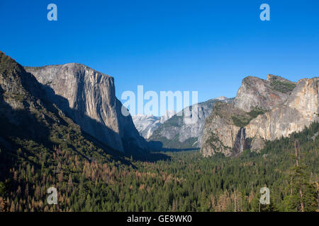 Une vue à travers la vallée Yosemite d'El Capitan et Half Dome Banque D'Images