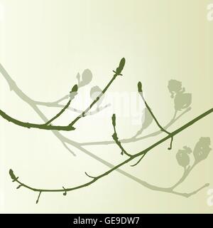 Les bourgeons vert de la direction générale de l'environnement écologie printemps vintage background vector illustration nouveau concept de démarrage Illustration de Vecteur