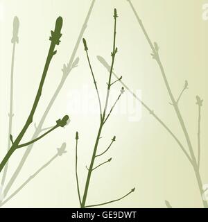 Les bourgeons vert de la direction générale de l'environnement écologie printemps vintage background vector illustration nouveau concept de démarrage Illustration de Vecteur