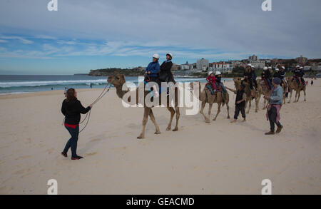 Sydney, Australie. 24 juillet, 2016. Les touristes monter des chameaux à Bondi Beach à Sydney, Australie, le 24 juillet 2016. Les chameaux ont été importés en Australie au xixe siècle pour le transport et les travaux lourds dans l'outback. Avec l'introduction du transport motorisé au début du xxe siècle, ils ont été relâchés dans la nature. L'Australie a maintenant la plus grande population de chameaux dans le monde. © Jingyun Business Zhu/Xinhua/Alamy Live News Banque D'Images